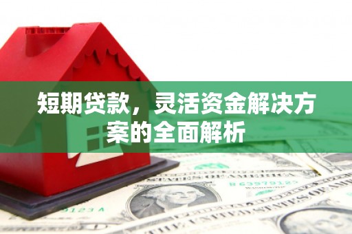 柳南短期贷款，灵活资金解决方案的全面解析