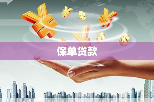柳南保单贷款