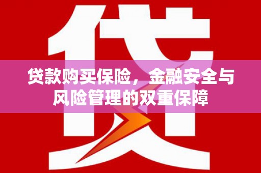 柳南贷款购买保险，金融安全与风险管理的双重保障