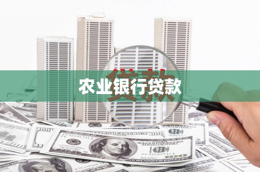 柳南农业银行贷款