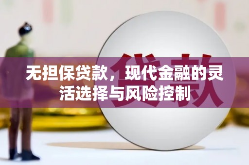 柳南无担保贷款，现代金融的灵活选择与风险控制