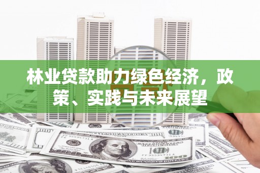 柳南林业贷款助力绿色经济，政策、实践与未来展望