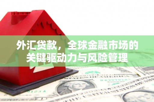 柳南外汇贷款，全球金融市场的关键驱动力与风险管理