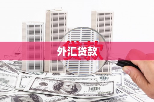 柳南外汇贷款