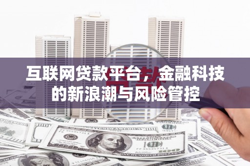 柳南互联网贷款平台，金融科技的新浪潮与风险管控