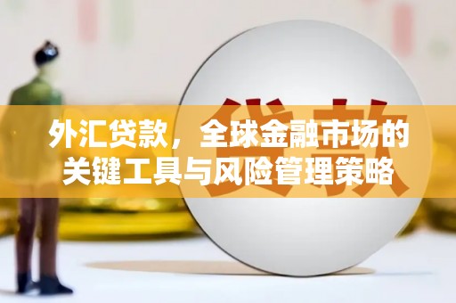 柳南外汇贷款，全球金融市场的关键工具与风险管理策略