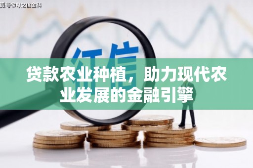 柳南贷款农业种植，助力现代农业发展的金融引擎
