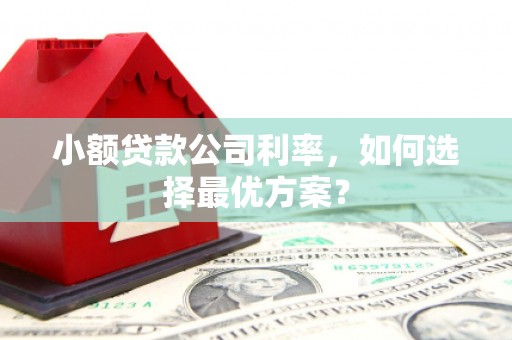 柳南小额贷款公司利率，如何选择最优方案？