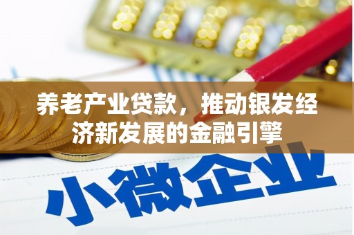柳南养老产业贷款，推动银发经济新发展的金融引擎
