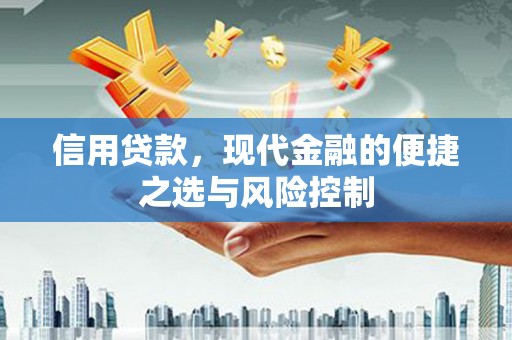 柳南信用贷款，现代金融的便捷之选与风险控制