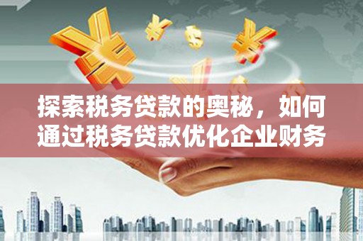 柳南探索税务贷款的奥秘，如何通过税务贷款优化企业财务