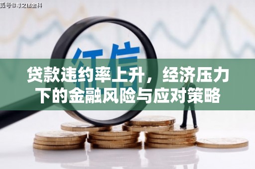 柳南贷款违约率上升，经济压力下的金融风险与应对策略