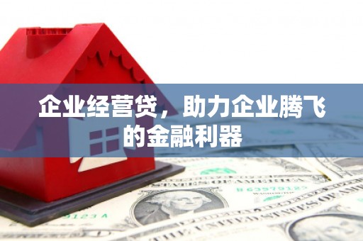 柳南企业经营贷，助力企业腾飞的金融利器