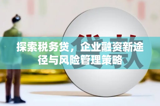 柳南探索税务贷，企业融资新途径与风险管理策略