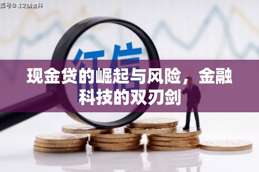 柳南现金贷的崛起与风险，金融科技的双刃剑
