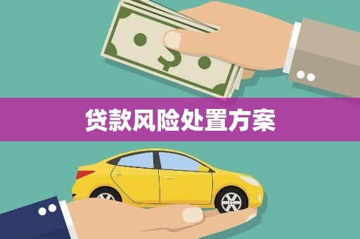 柳南贷款风险处置方案