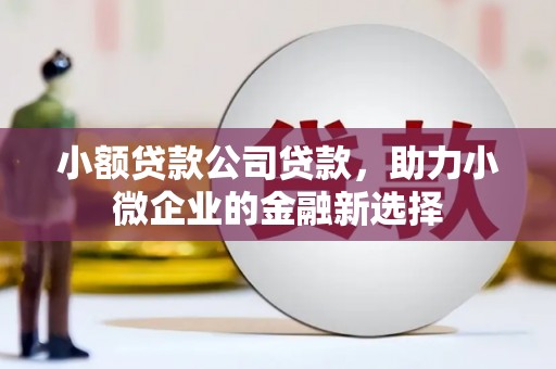 柳南小额贷款公司贷款，助力小微企业的金融新选择
