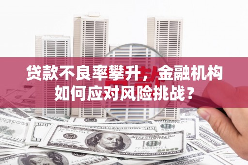 柳南贷款不良率攀升，金融机构如何应对风险挑战？
