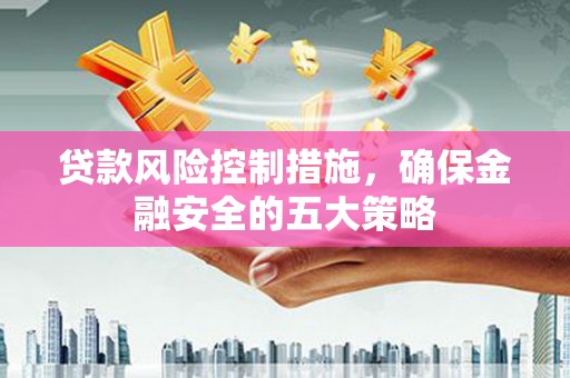柳南贷款风险控制措施，确保金融安全的五大策略