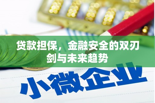 柳南贷款担保，金融安全的双刃剑与未来趋势