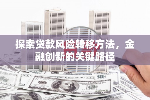 柳南探索贷款风险转移方法，金融创新的关键路径