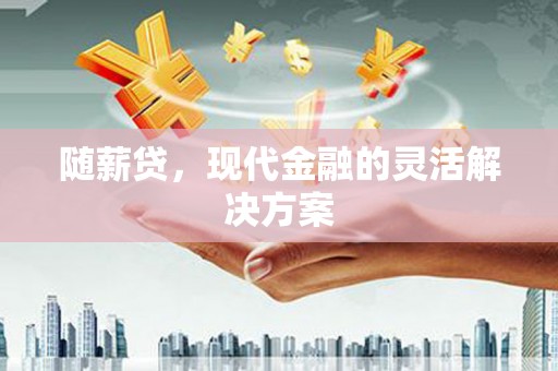 柳南随薪贷，现代金融的灵活解决方案