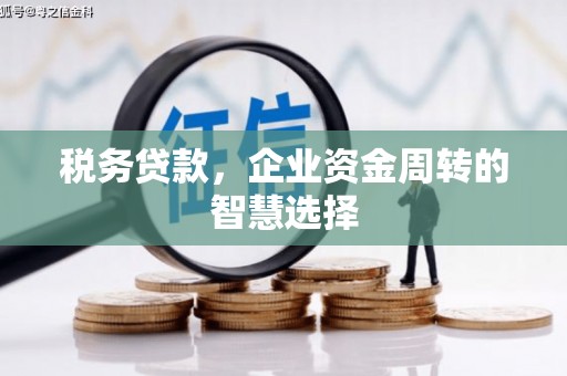 柳南税务贷款，企业资金周转的智慧选择