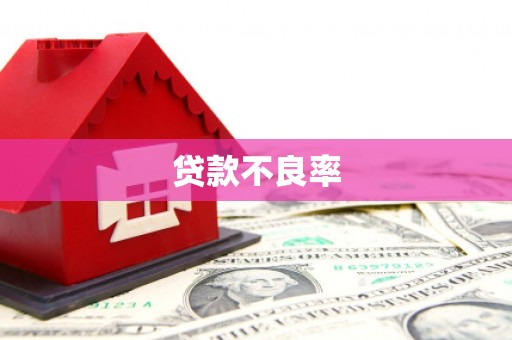 柳南贷款不良率