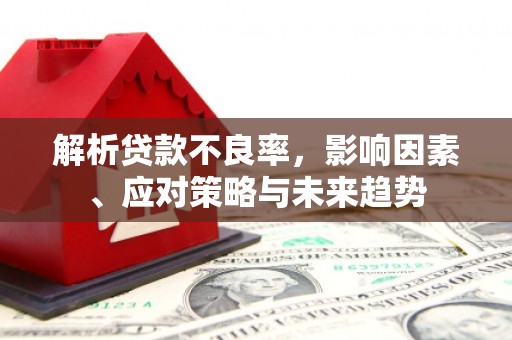 柳南解析贷款不良率，影响因素、应对策略与未来趋势