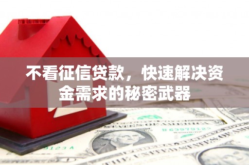 柳南不看征信贷款，快速解决资金需求的秘密武器