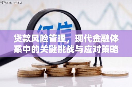 柳南贷款风险管理，现代金融体系中的关键挑战与应对策略