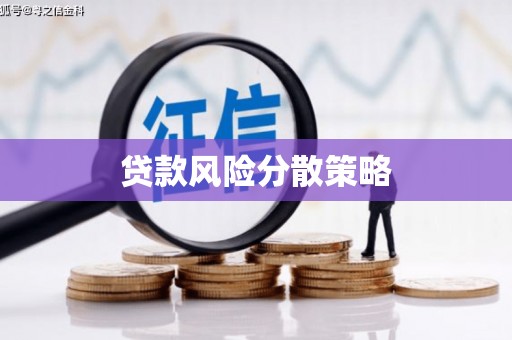 柳南贷款风险分散策略