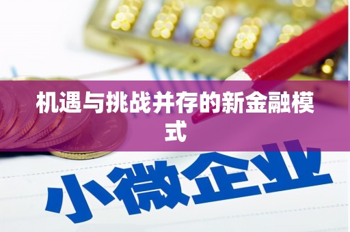 柳南机遇与挑战并存的新金融模式