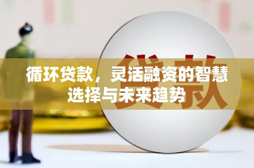 柳南循环贷款，灵活融资的智慧选择与未来趋势