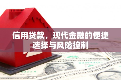 柳南信用贷款，现代金融的便捷选择与风险控制