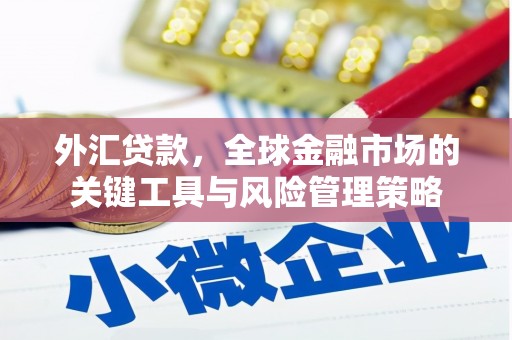 柳南外汇贷款，全球金融市场的关键工具与风险管理策略