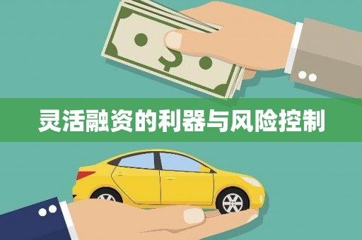 柳南灵活融资的利器与风险控制
