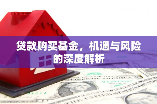 柳南贷款购买基金，机遇与风险的深度解析