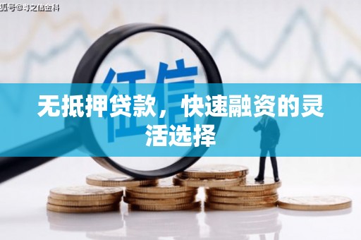 柳南无抵押贷款，快速融资的灵活选择