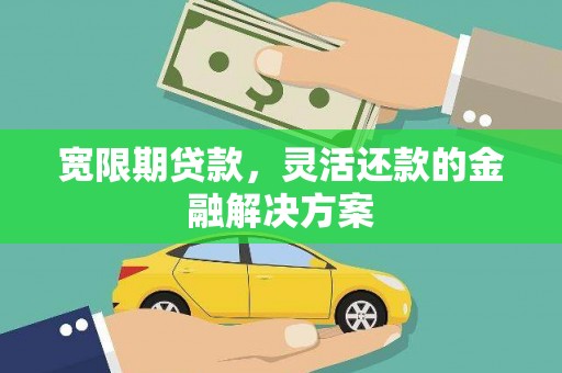 柳南宽限期贷款，灵活还款的金融解决方案