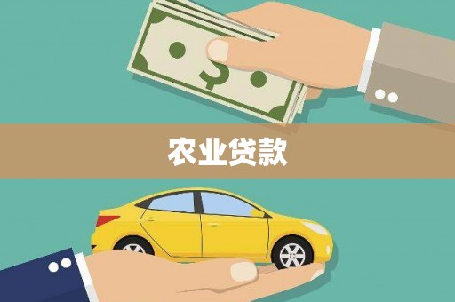 柳南农业贷款