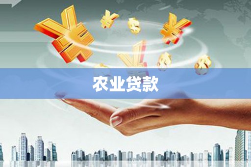 柳南农业贷款