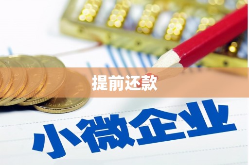 柳南提前还款