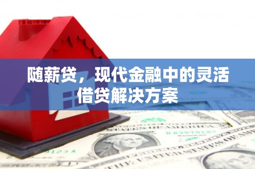 柳南随薪贷，现代金融中的灵活借贷解决方案