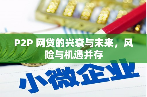 柳南P2P 网贷的兴衰与未来，风险与机遇并存