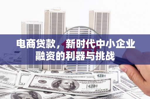 柳南电商贷款，新时代中小企业融资的利器与挑战