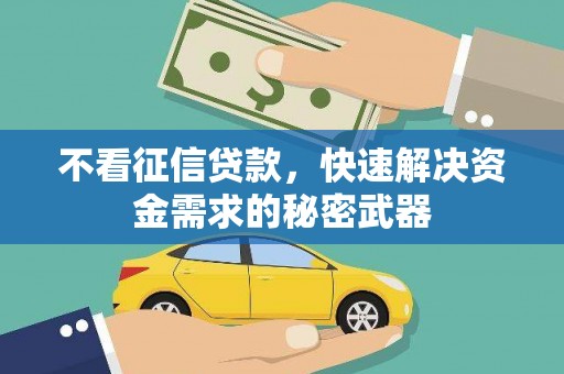 柳南不看征信贷款，快速解决资金需求的秘密武器