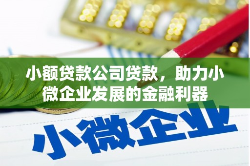 柳南小额贷款公司贷款，助力小微企业发展的金融利器