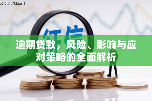 柳南逾期贷款，风险、影响与应对策略的全面解析