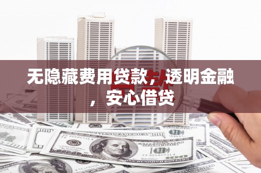 柳南无隐藏费用贷款，透明金融，安心借贷